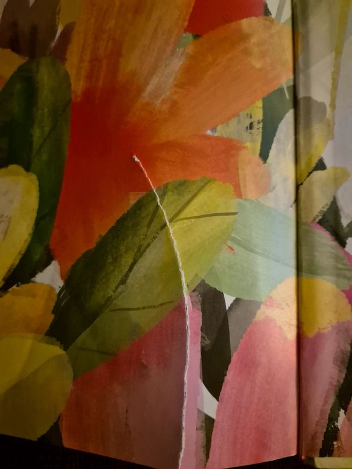 Grand livre frou_frou - photo numéro 4