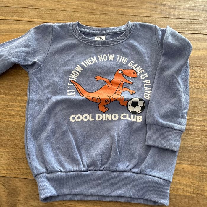 Lot de 2 sweats T 5ans - photo numéro 2