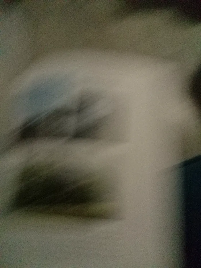 La maison économe livre - photo numéro 7