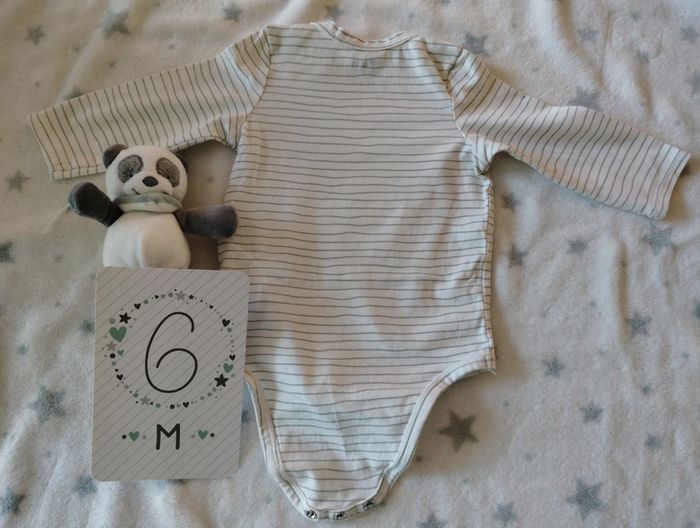 Lot de 5 bodies fin ML - Theme Dino - TAO - photo numéro 3