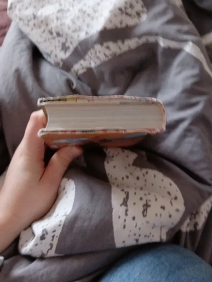 Livre "les malheurs de Sophie comtesse de Ségur " - photo numéro 4