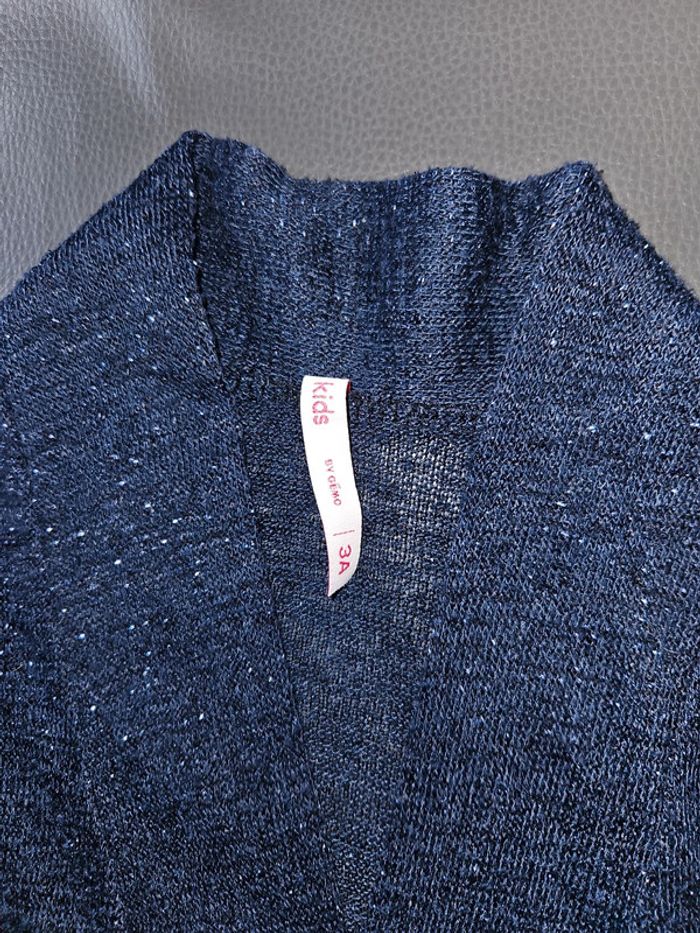 Veste fille pailletée 3 ans - photo numéro 2