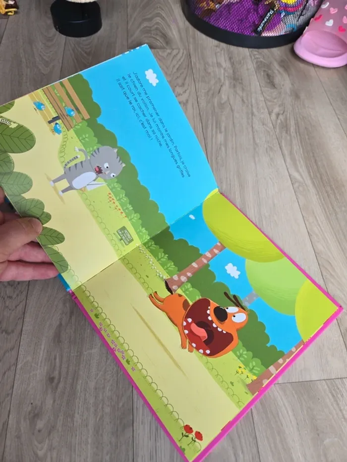 Livre enfant c'est qui le roi - photo numéro 2