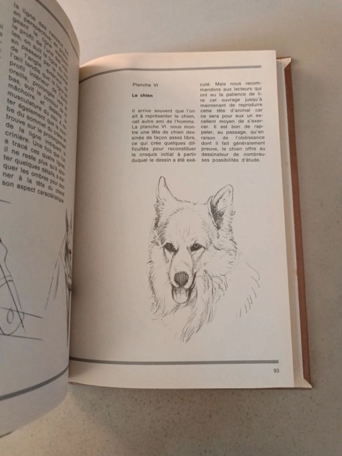 Cours rapide de dessin ou comment apprendre à dessiner tout seul - photo numéro 14