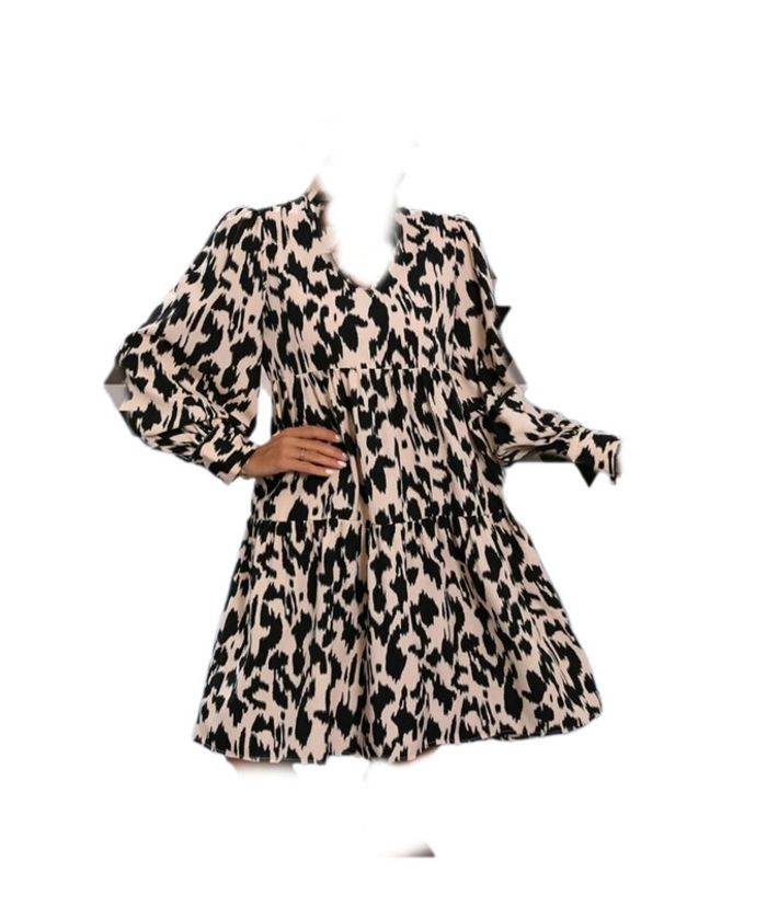 Robe. - photo numéro 3