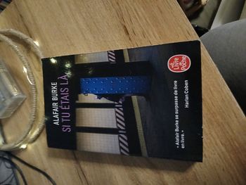 LIVRE SI TU ETAIS LA DE ALAFAIR BLAKE