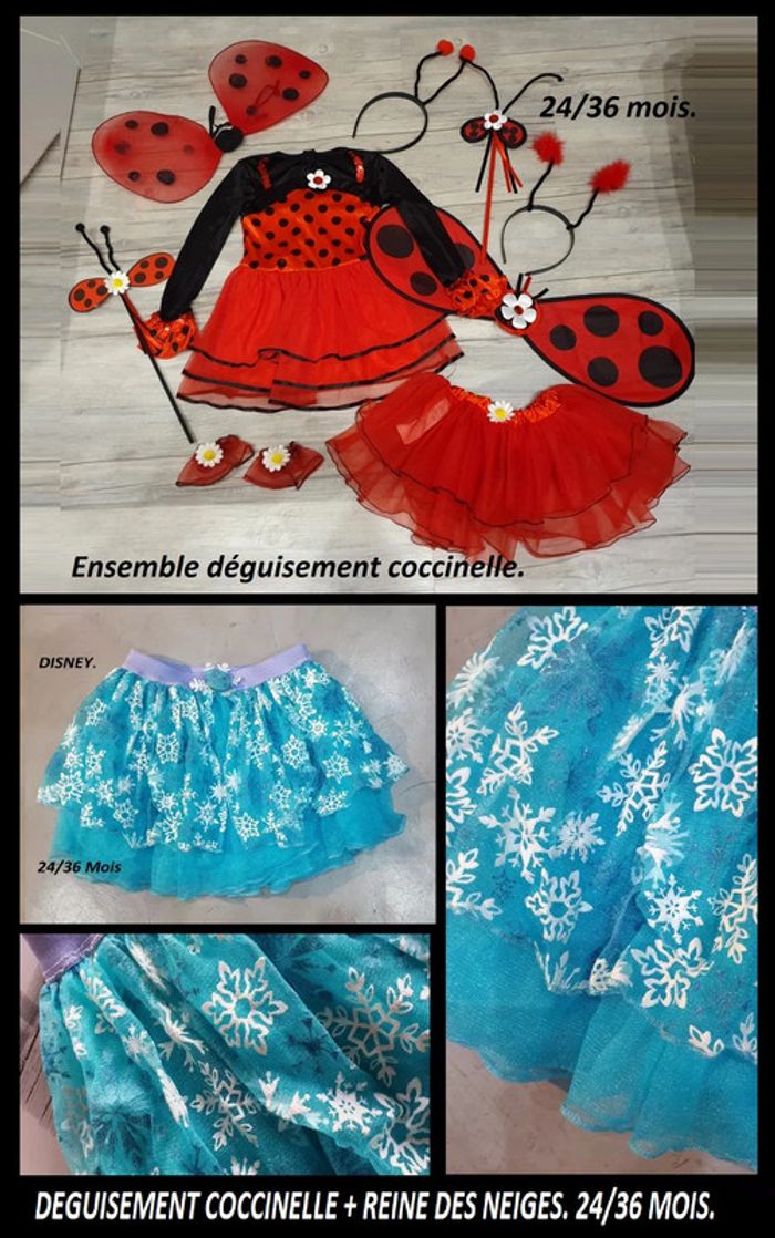 Ensemble déguisement coccinelle + reine des neiges 24/36 mois