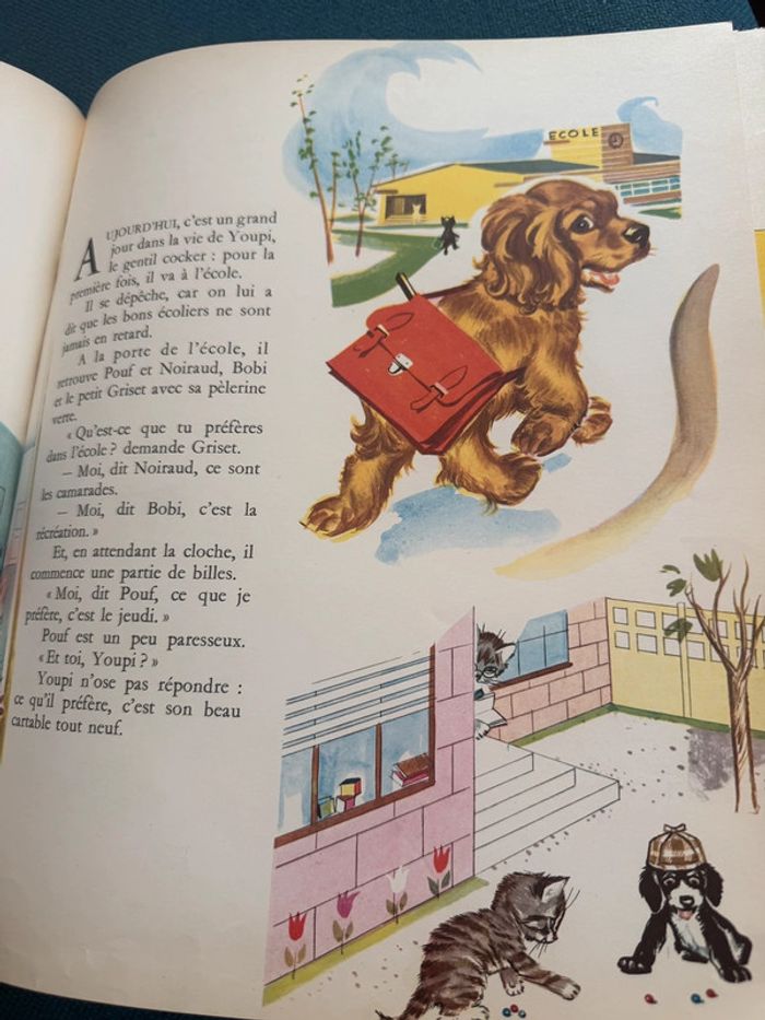 96 pages Grand livre ancien collection Hachette Les trésors de Pierre Probst auteur de Caroline - photo numéro 9