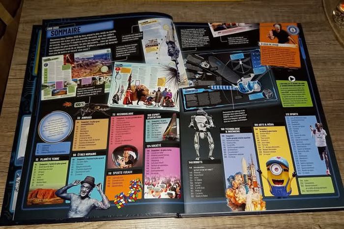 Guinness World records 2020 
Hachette - photo numéro 2