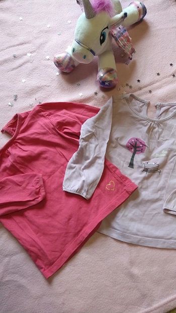 Lot de deux maillots manches longues taille 18 mois en très bon état