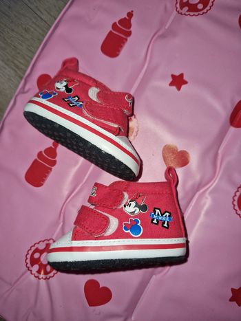 basket  minnie