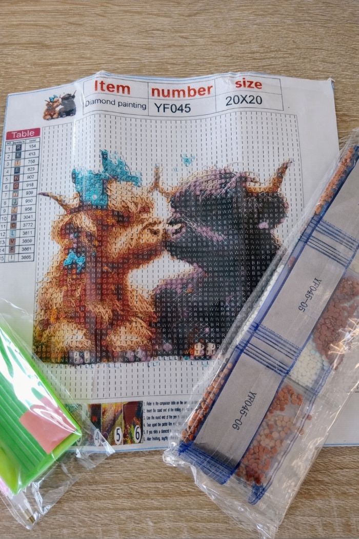 Diamond painting 20x20cm