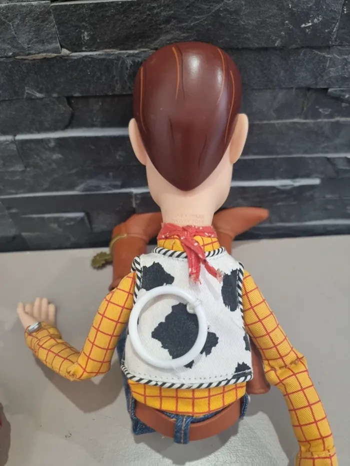 Woody signature collection - photo numéro 3