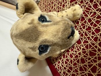 Peluche collection - playkids