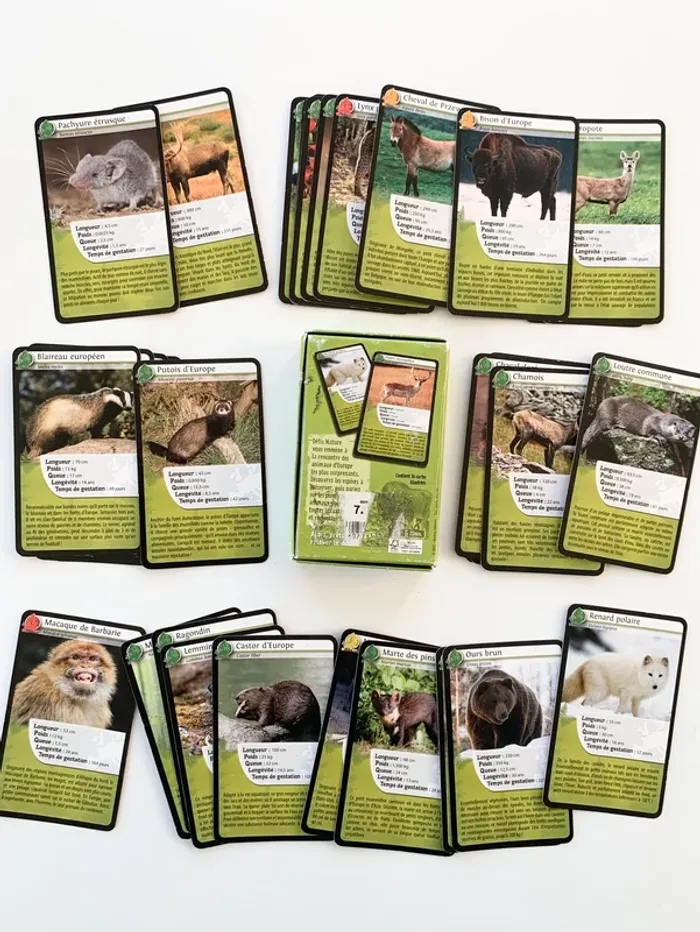 Jeu défis nature - Europe - photo numéro 3