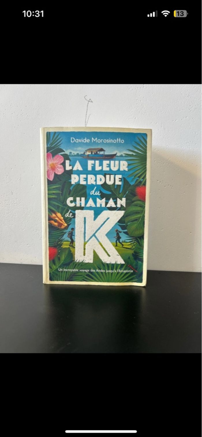 Roman « la fleur perdu du chaman de K » - photo numéro 3