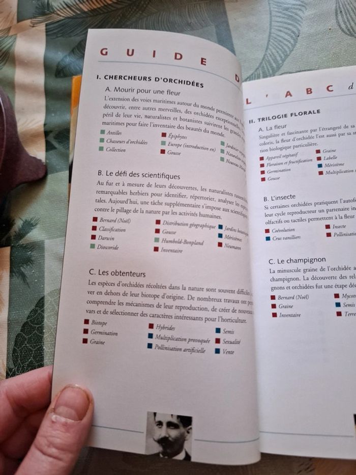 L' ABCdaire des orchidées - photo numéro 4