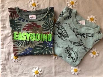 Lot hauts 5 ans garçon – TAO + tee-shirt japonais Bluemart – dinosaures