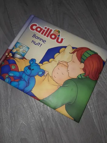 Livre caillou