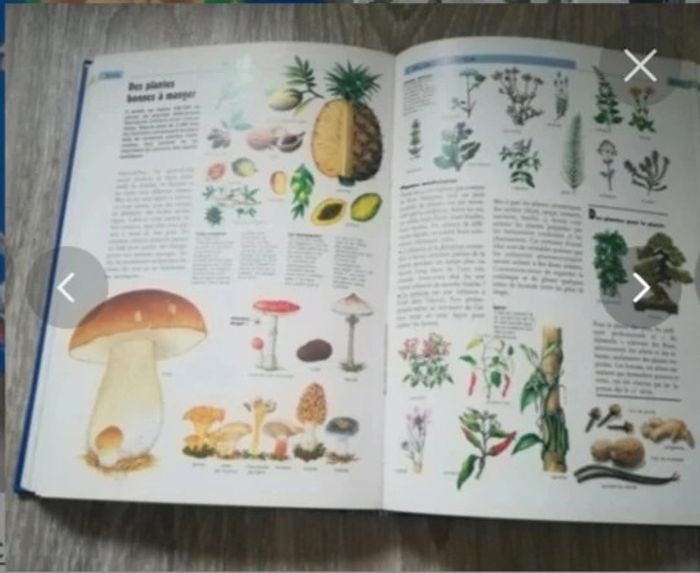 Livre encyclopédie memo junior - photo numéro 4
