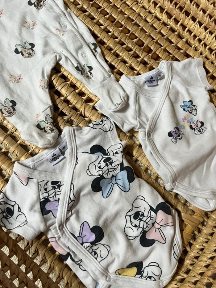 Lot Minnie - photo numéro 2