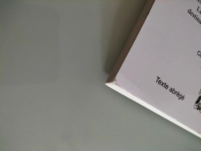 Cinq semaines en ballon de Jules verne - photo numéro 6