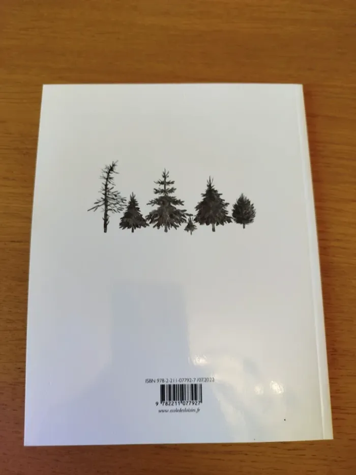 Livre La robe de Noël - photo numéro 2