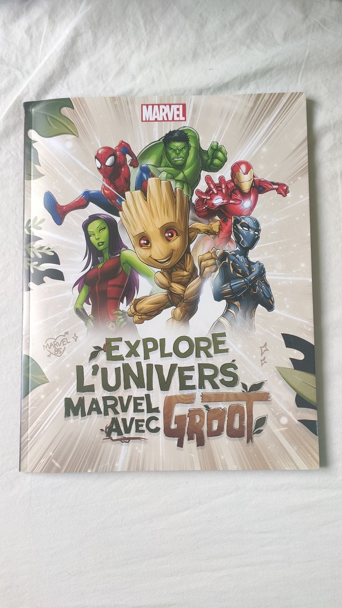 Explore l'univers Marvel avec groot Leclerc