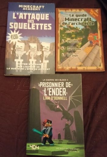 Lot 3 livres Minecraft