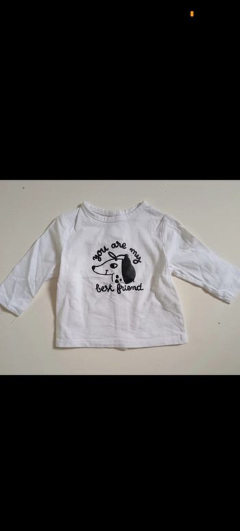 Polo chien