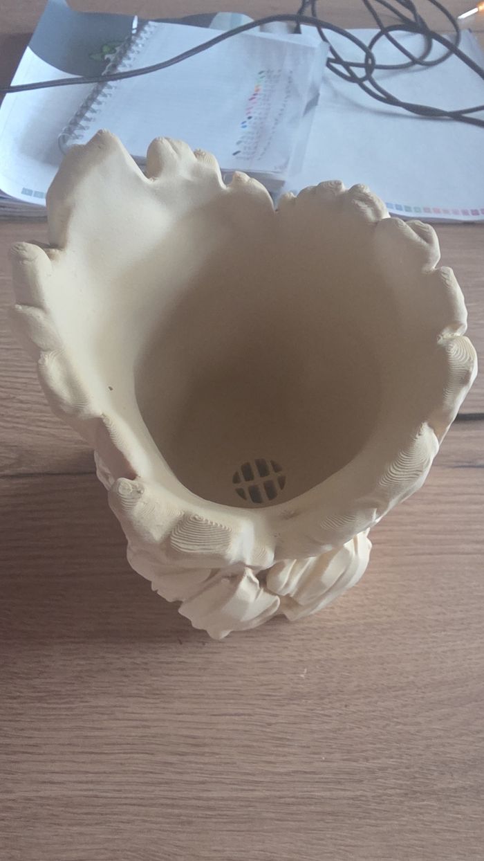 Groot - photo numéro 3