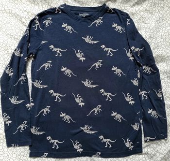 Tee-shirt dinosaures