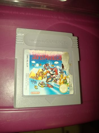 Jeu Gameboy supermarioland