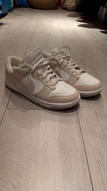 Dunk low 