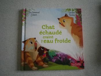 CHAT ECHAUDE CRAINT L'EAU FROIDE