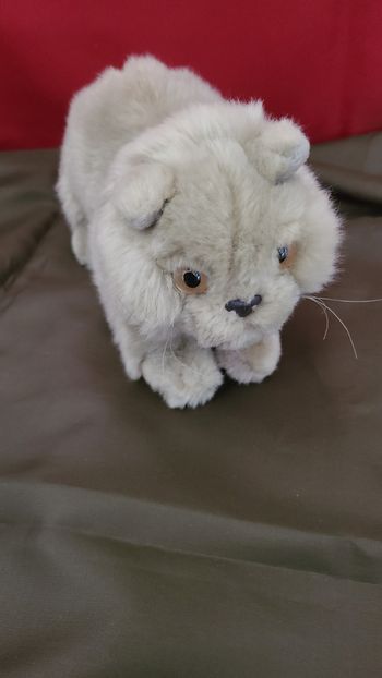 Peluche Chat Persan couché playkids