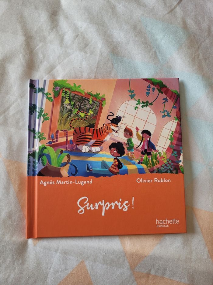 Livre surpris! Le musée magique