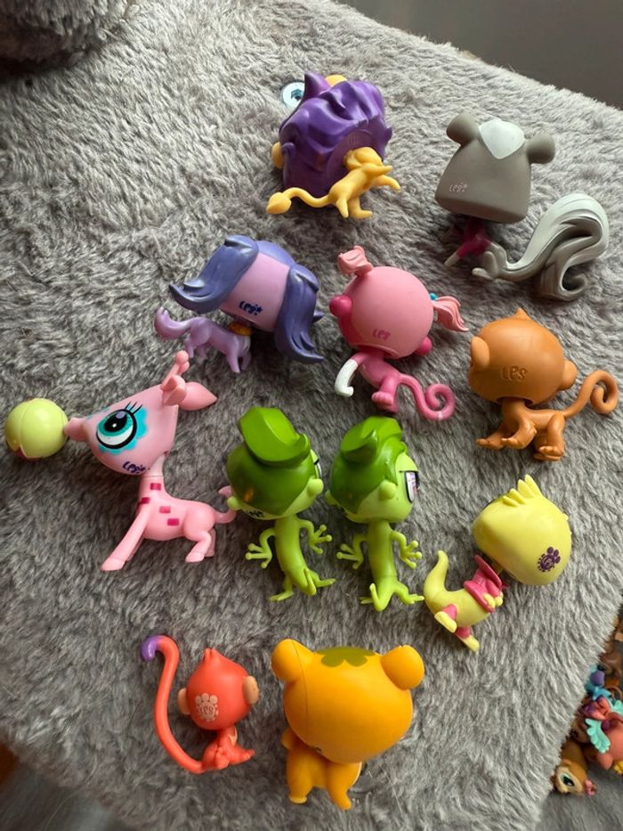Lot petshops - photo numéro 7