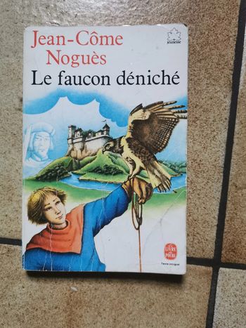 Le faucon déniché, livre de Jean-Côme Noguès