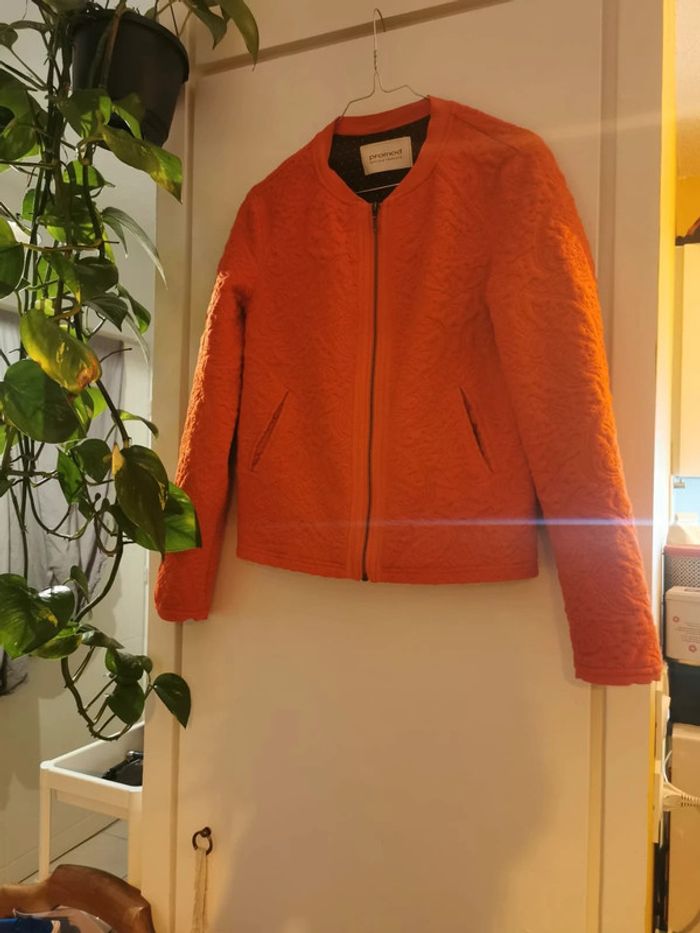 Veste rouge
