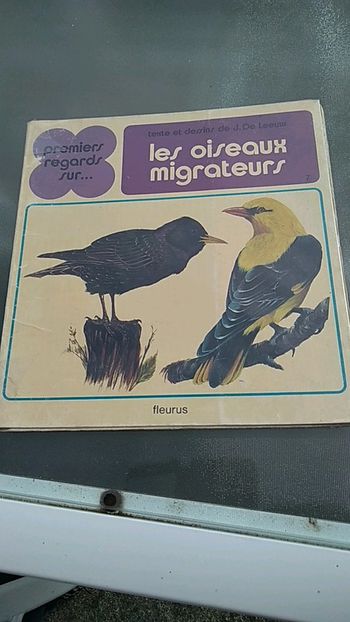 Livre pour enfants premiers regards sur les oiseaux migrateurs
