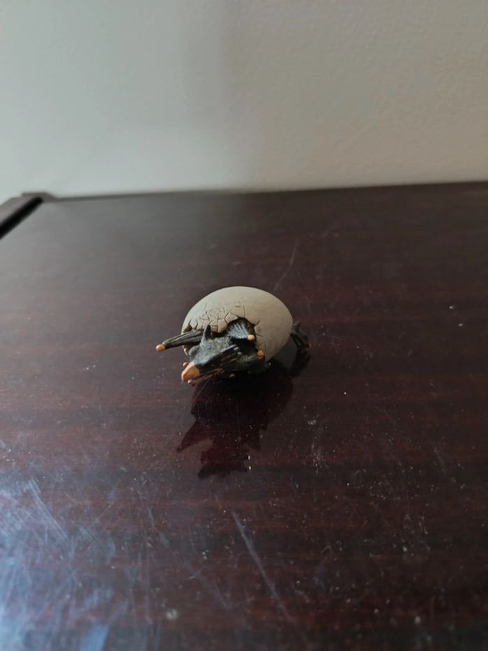 Bébé dragon qui sort de l'oeuf - photo numéro 3