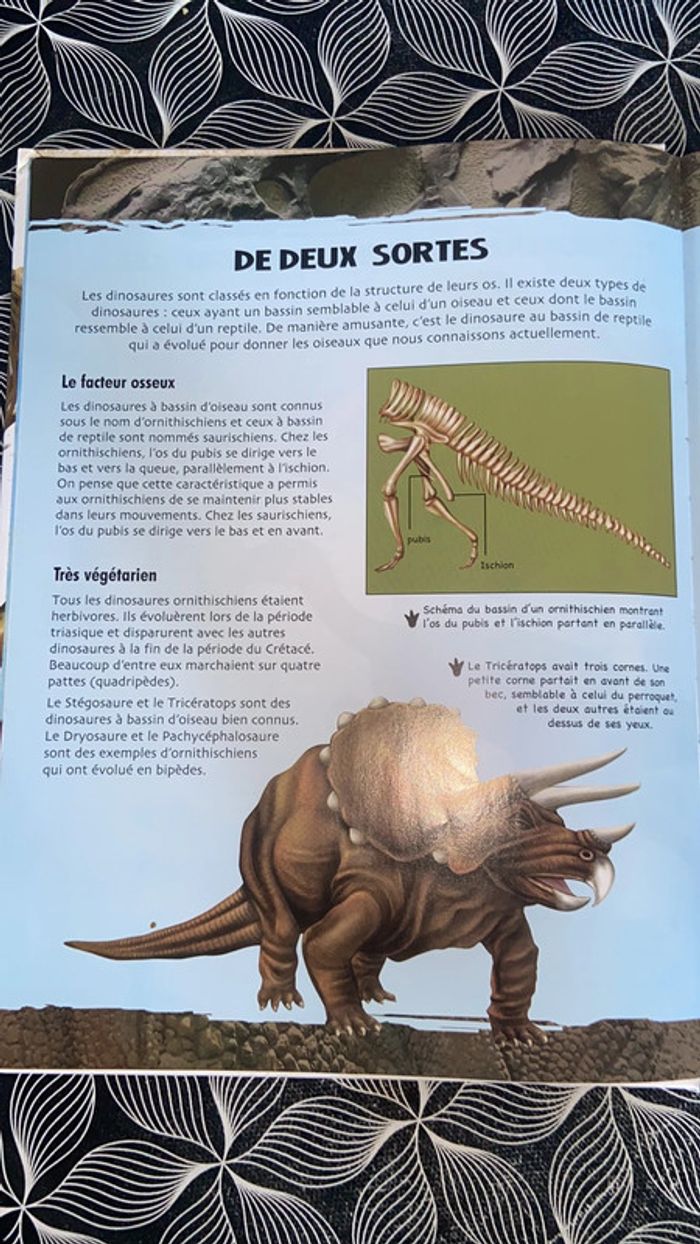 Livre Découvre les dinosaures - photo numéro 3