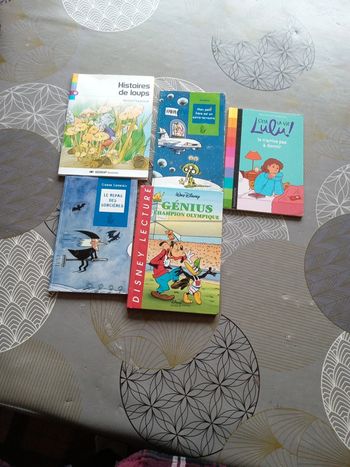 Divers livres roman pour enfants