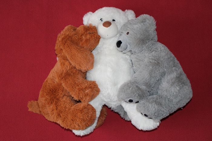 Lot de 3 belles peluches (2 nounours et 1 chien) - photo numéro 7
