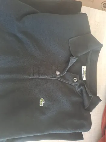 Polo lacoste