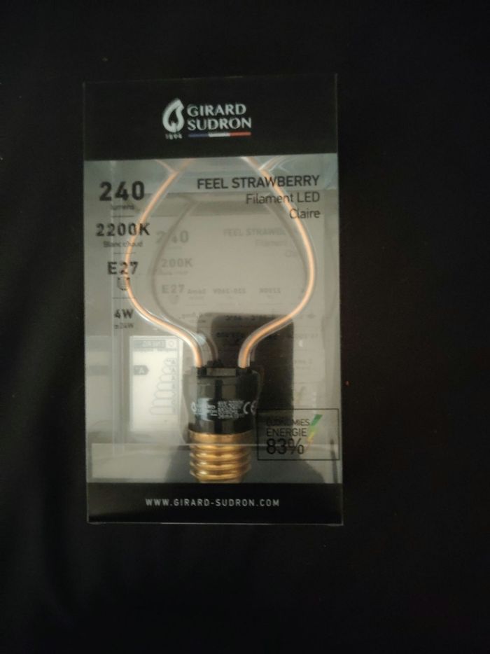 Led Gérard saudron - photo numéro 2