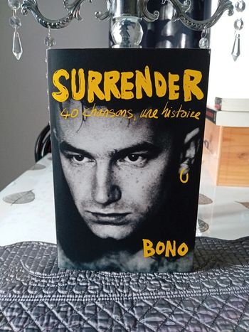 Surrender 40 chansons, une histoire