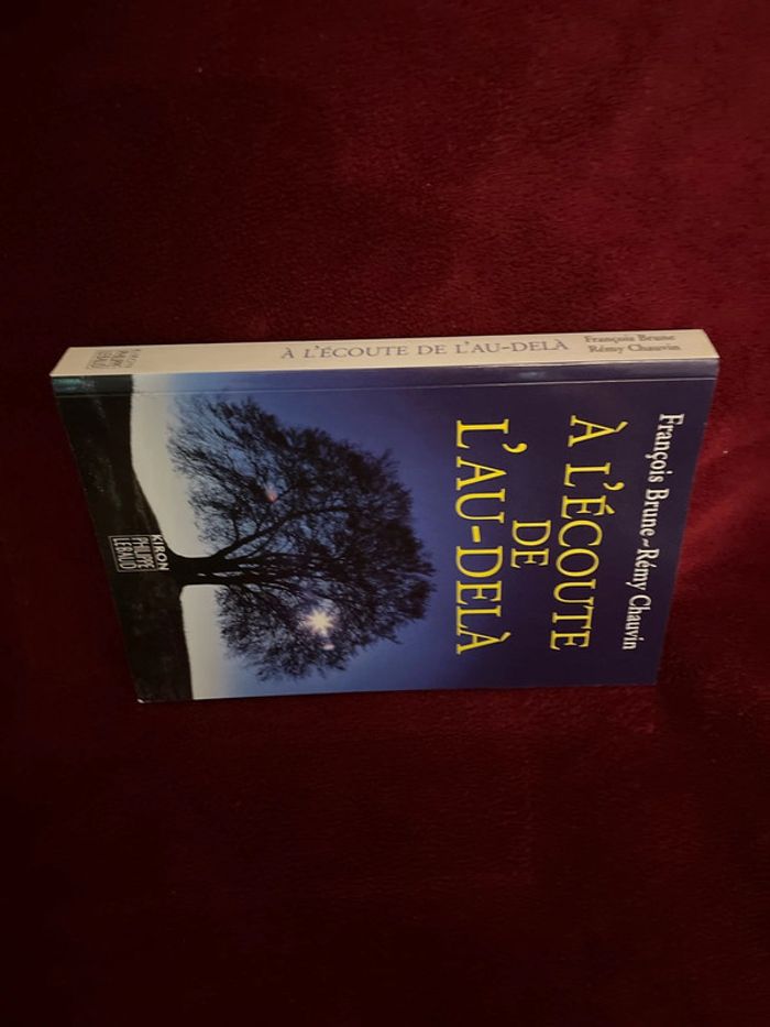 Livre spiritualité À l écoute de l au delà - photo numéro 3