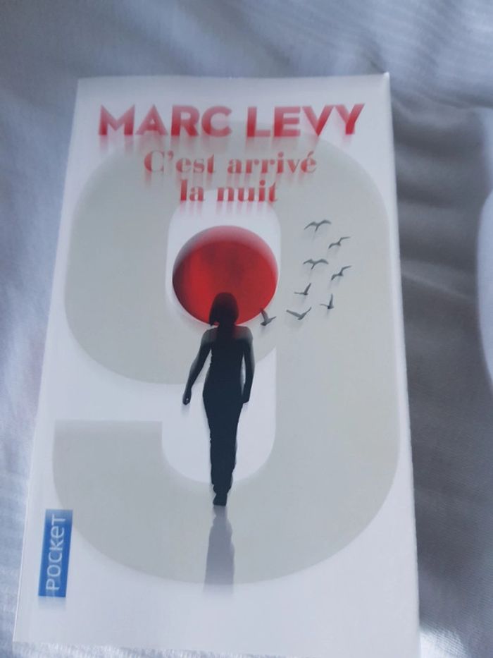 C est arrivé la nuit de Marc Levy
